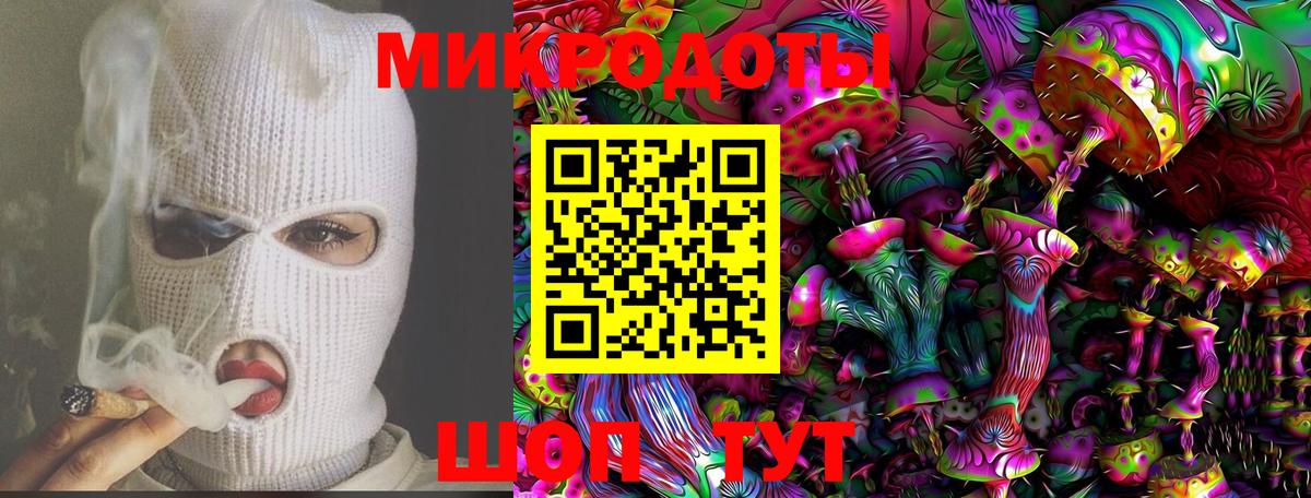 Галлюциногенные грибы Psilocybe Мурино