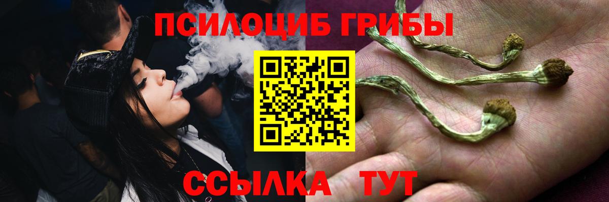 Псилоцибиновые грибы Psilocybe  Галлюциногенные грибы Magic Shrooms  Вход с VPN  Мурино 
